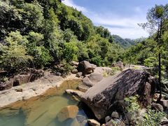 -广州白江湖森林公园