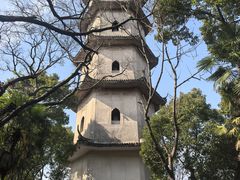 -江心屿景区