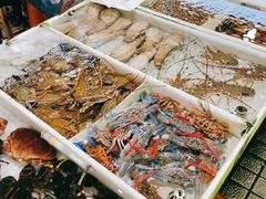 -大湾区中央湿地公园-十九涌