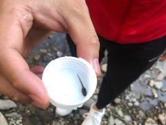 -碓臼峪自然风景区