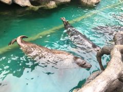 景点-华夏文旅西安度假区