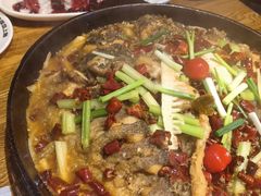 -老板恋上鱼(高新万达店)