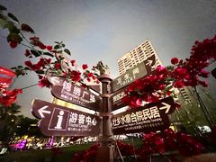 -靖西锦绣古镇景区