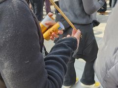 -灵顺寺