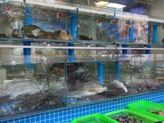 -富临港·蒸汽海鲜·手抓海鲜·炒菜(栈桥店)