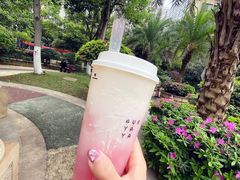 -果呀呀(凯德广场店)