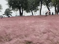 -汉长安城未央宫国家考古遗址公园