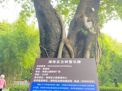 -晓港公园