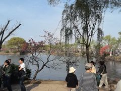 -无锡蠡湖国家湿地公园-蠡园