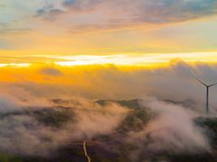 -齐岳山