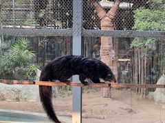 -清迈夜间动物园