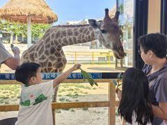 -西霞口神雕山野生动物世界