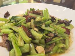 -陶然居·重庆菜(生态园店)
