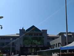 -打洛口岸