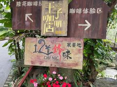 -兴隆隆苑咖啡庄园
