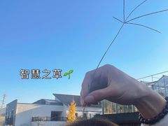 -天地生态农庄
