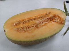 -沈阳市八家子水果批发市场