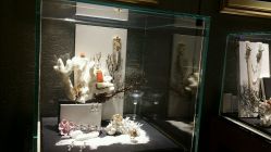 -北京七彩云南翡翠珠宝旗舰店(月坛店)