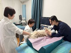 -北京观赏动物医院·24小时大型综合·猫专科·异宠专科