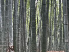 -同里国家湿地公园