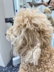 -Hair Co.一间沙龙