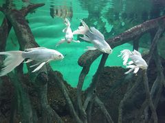 -常州海昌海洋探索馆