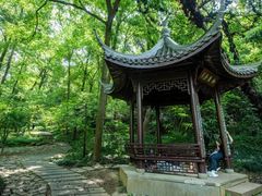 -九曜山