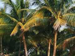 -白沙门生态公园