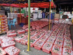 -双福水果批发市场