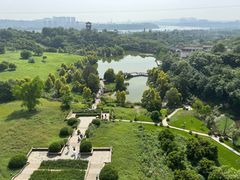 -张坝桂圆林公园
