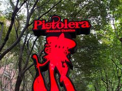-Pistolera Mexican Cantina女枪手墨西哥餐厅(碧云路店)