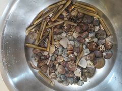 -红树林天天赶海