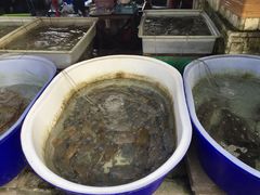 -拉威海鲜市场