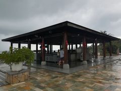 -采粤轩中餐厅(惠州金海湾喜来登度假酒店)
