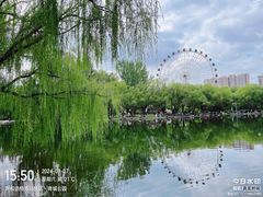 -青城公园