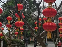 -无锡蠡湖国家湿地公园-蠡园