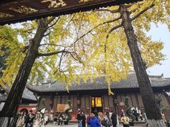 -洞子口张老二凉粉(文殊院店)