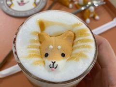 -柴务处·柴犬主题狗咖