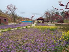 -绵阳盛世樱花悠乐谷