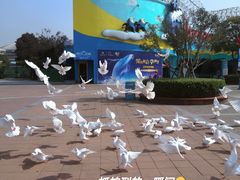 -海合安武汉极地海洋公园