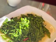 佛手瓜藤-红豆园(文林街店)