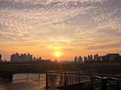 -月湖风景区