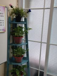 点击看大图 -薇兰专业脱毛连锁机构