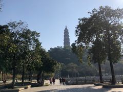 -顺峰山公园