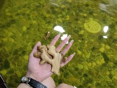 -龙熙温泉水世界