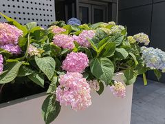 -中粮·祥云小镇