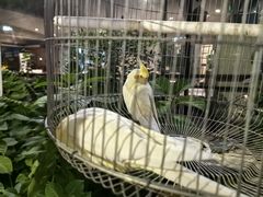 -蘇河湾·新鲁菜·泰山宴(泰山店)