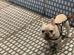 -Luneurs(幸福里店)