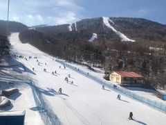 -亚布力新体委滑雪场