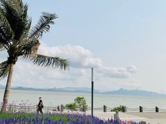 -深圳湾公园(南山区)